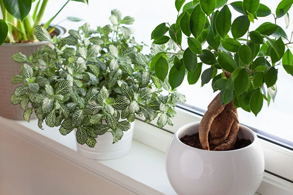 hometown-restyling-replacement-windows3 copy